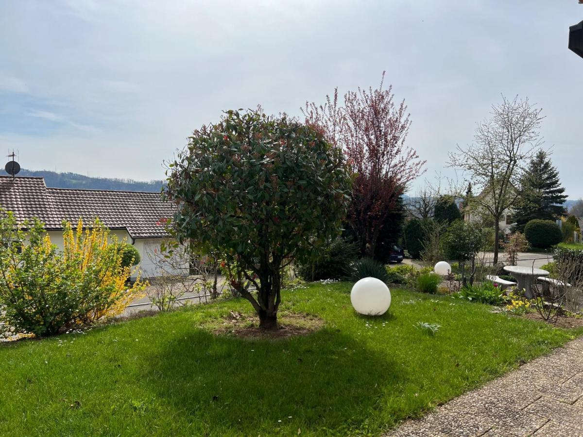 Kleine Mit Schoenem Blick In Schweiz - Grenznah Appartement